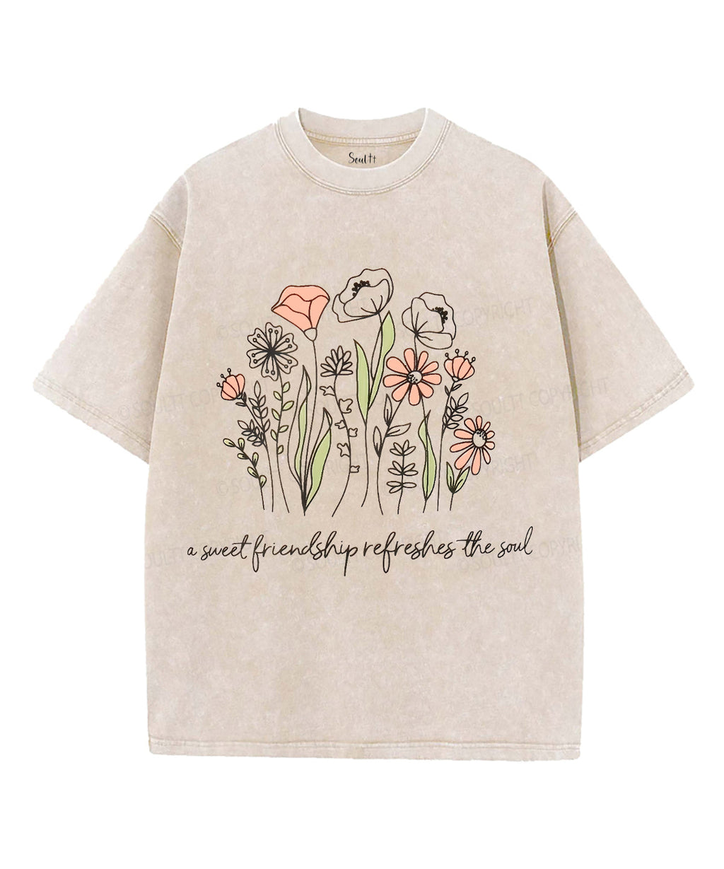 A Sweet Friendship Refreshes The Soul Unisex Washed Christian T-shirt Hoodie, Sweatshirt | CiraTrend.com (Image 4)