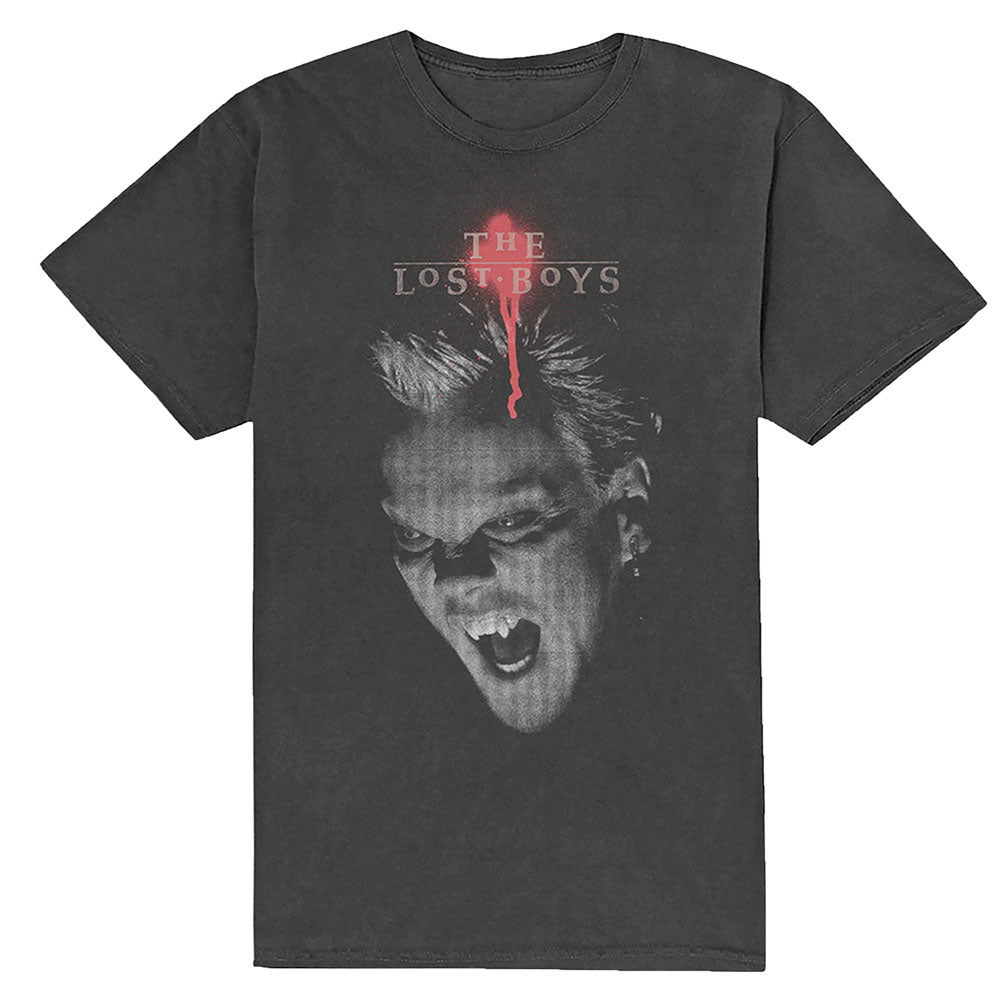 David Graphic Slim Fit T-shirt Hoodie, Sweatshirt | CiraTrend.com