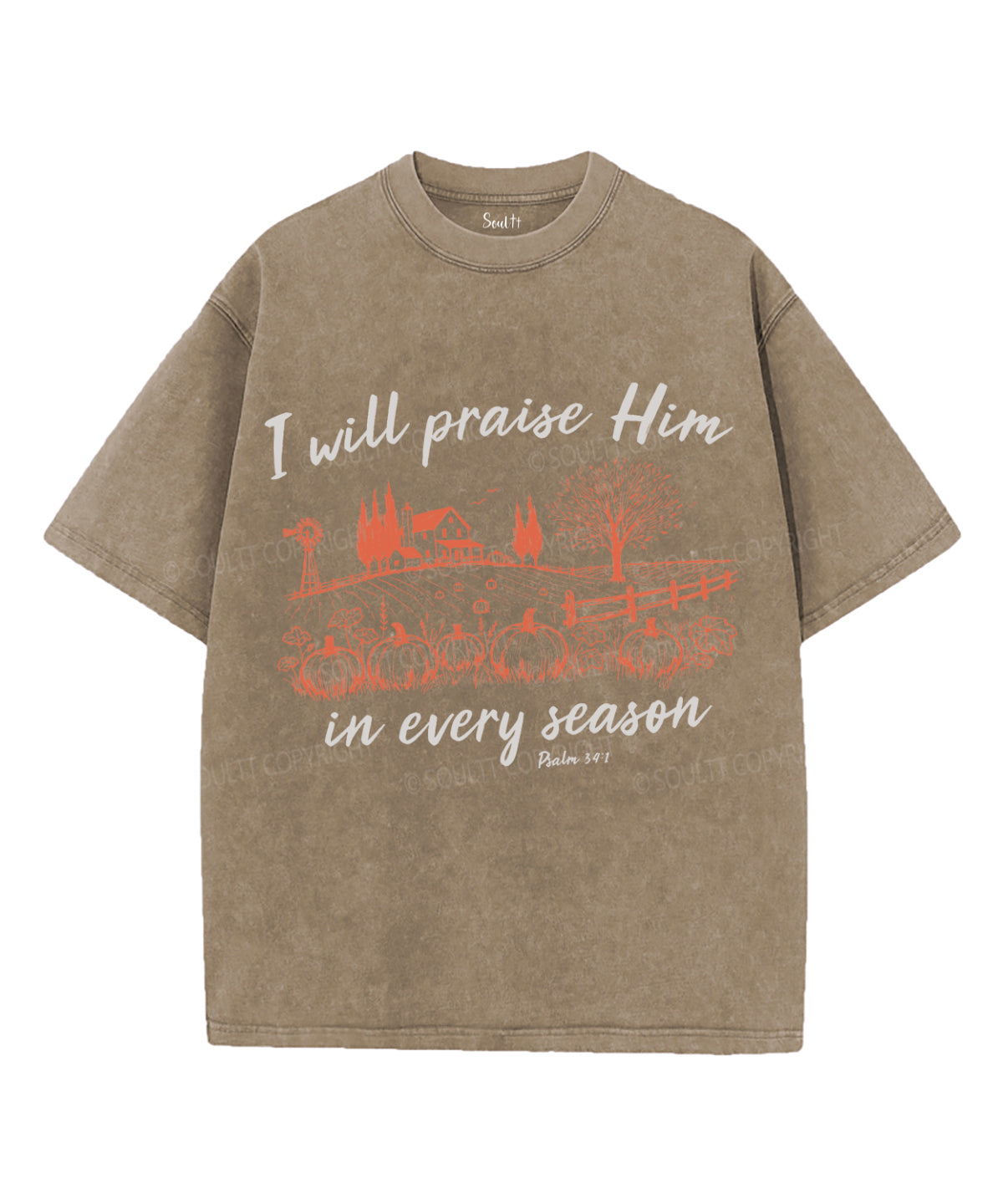 I Will Praise Him Unisex Washed Christian T-shirt Hoodie, Sweatshirt | CiraTrend.com (Image 3)