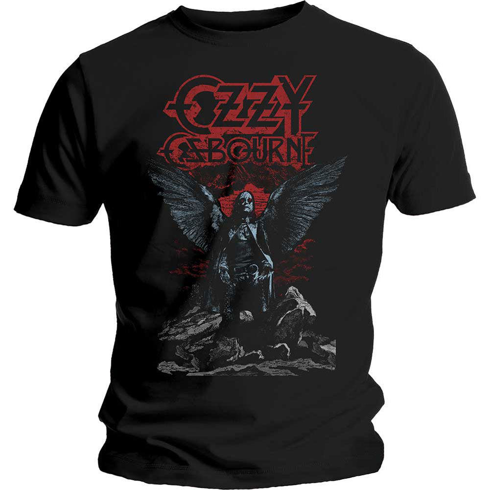 Angel Wings Slim Fit T-shirt Hoodie, Sweatshirt | CiraTrend.com