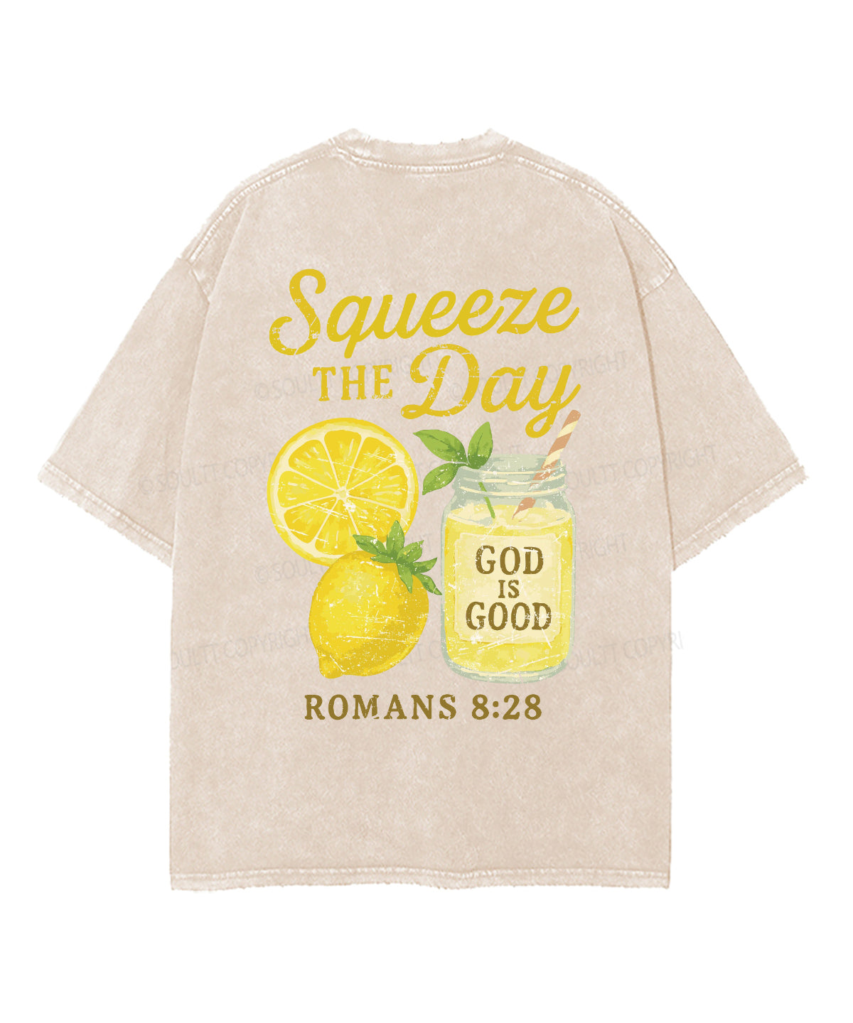 Squeeze the Day Double Sided Unisex Washed Christian T-shirt Hoodie, Sweatshirt | CiraTrend.com (Image 3)
