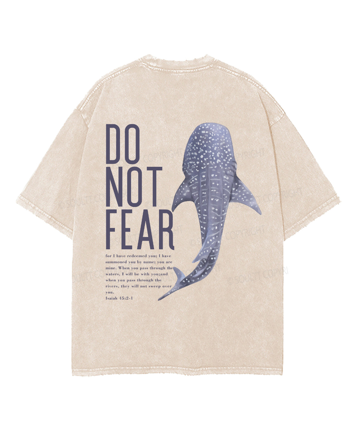 Do Not Fear Double Sided Washed Christian T-Shirts, Hoodie, Sweatshirt
