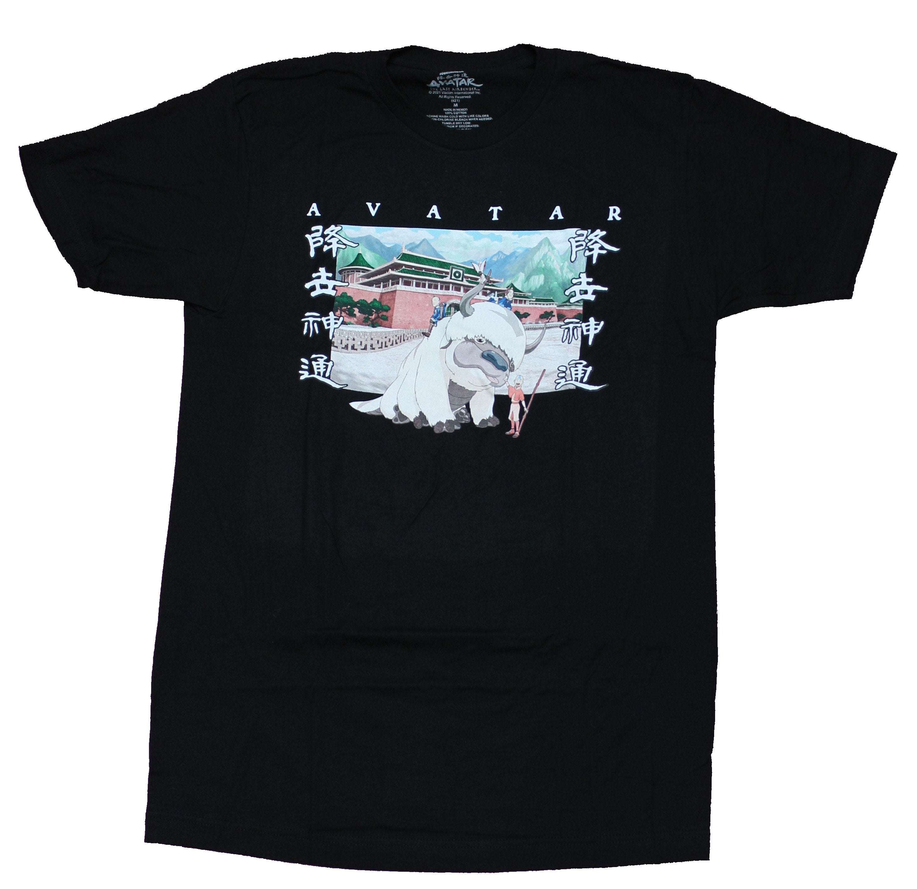 Avatar the Last Airbender Mens  T-Shirt - Avatar Riding Appa Image Hoodie, Sweatshirt | CiraTrend.com