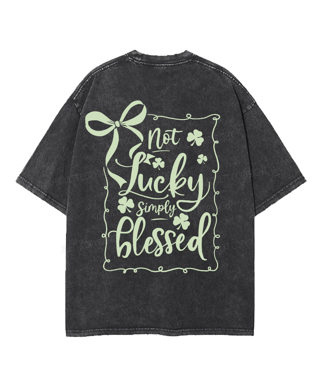 Not Lucky Simply Blessed Double Sided Unisex Washed Christian T-shirt Hoodie, Sweatshirt | CiraTrend.com (Image 5)