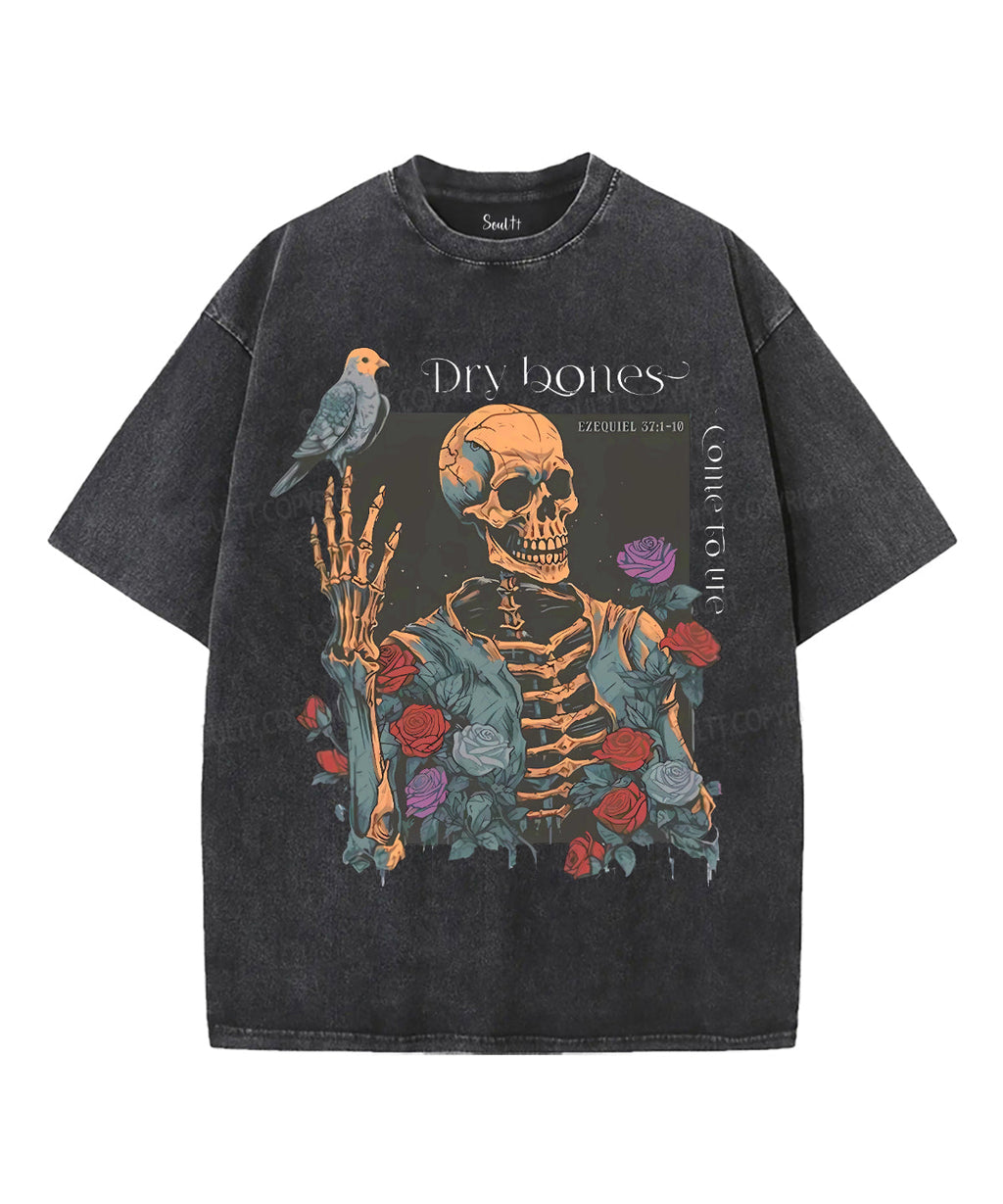 Dry Bones Unisex Washed Christian T-shirt Hoodie, Sweatshirt | CiraTrend.com (Image 1)