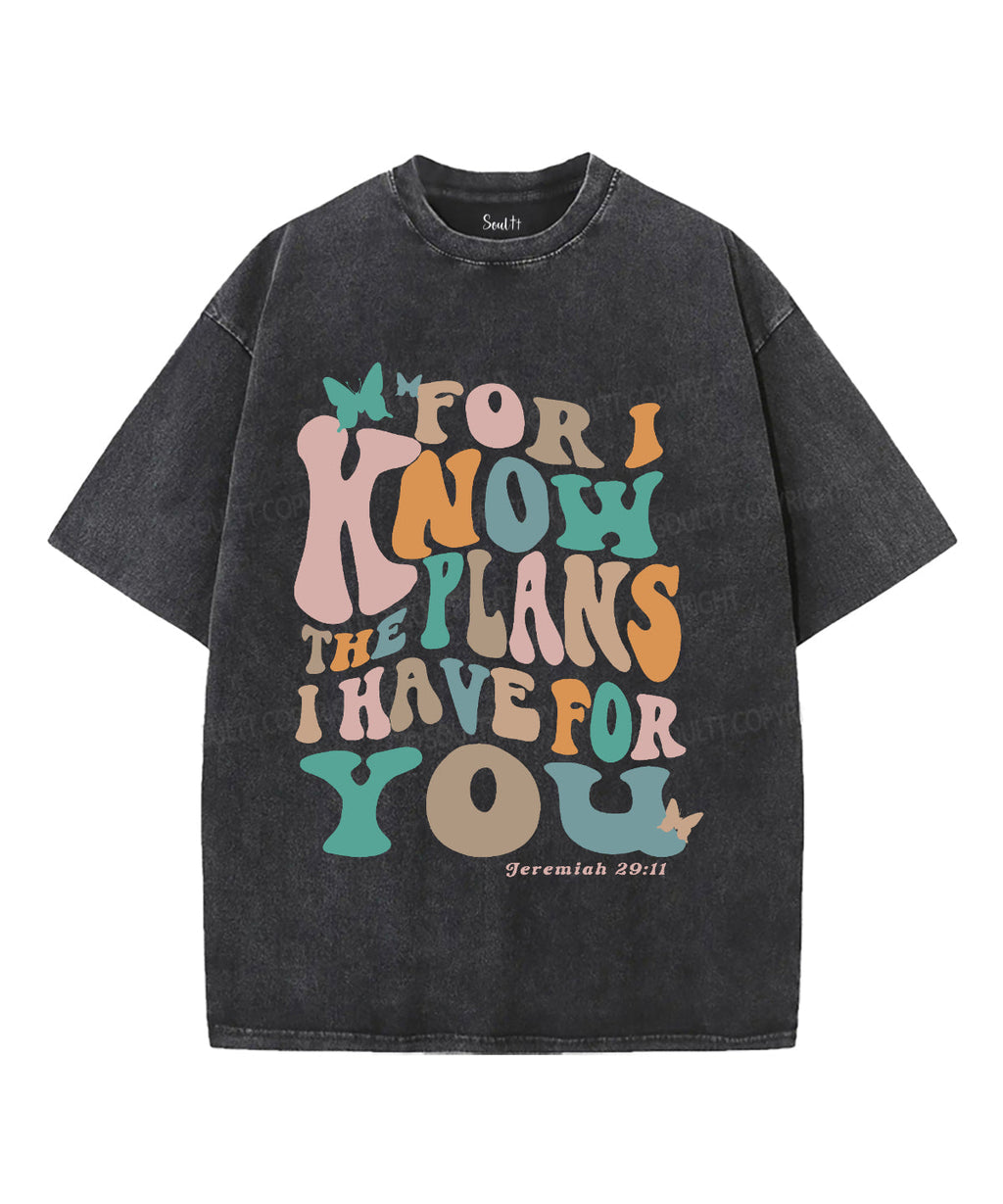The Plan I Have For You Unisex Washed Christian T-shirt Hoodie, Sweatshirt | CiraTrend.com (Image 1)
