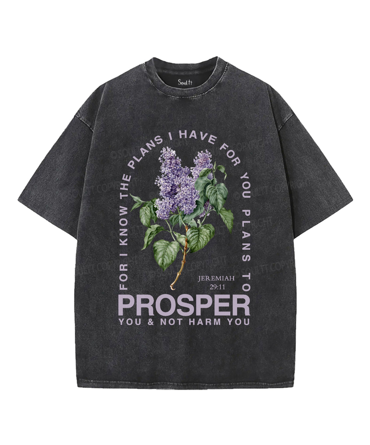 The Plans I Have For You Unisex Washed Christian T-shirt Hoodie, Sweatshirt | CiraTrend.com (Image 2)