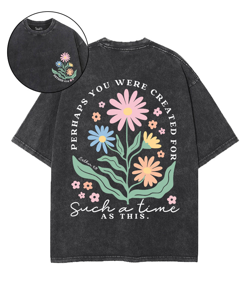 Created Such Time Double Sided Washed Christian T-Shirts, Hoodie, Sweatshirt