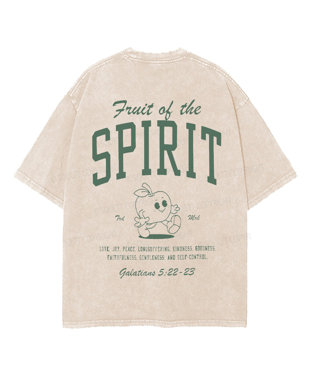 Fruit Spirit Double Sided Washed Christian Style027 T-Shirts, Hoodie, Sweatshirt