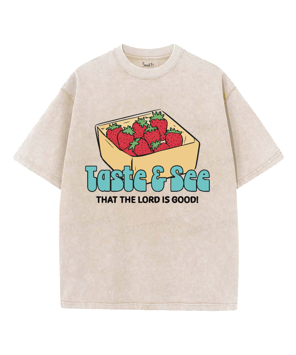 The Lord Is Good Washed Christian T-shirt Hoodie, Sweatshirt | CiraTrend.com (Image 1)