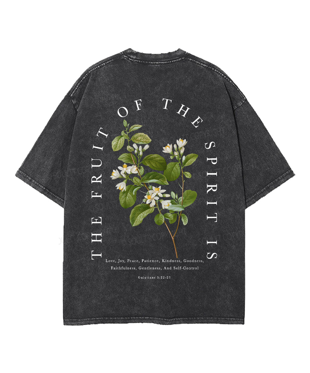Fruit Of The Spirit Double Sided Unisex Washed Christian T-shirt Style005 Hoodie, Sweatshirt | CiraTrend.com (Image 5)