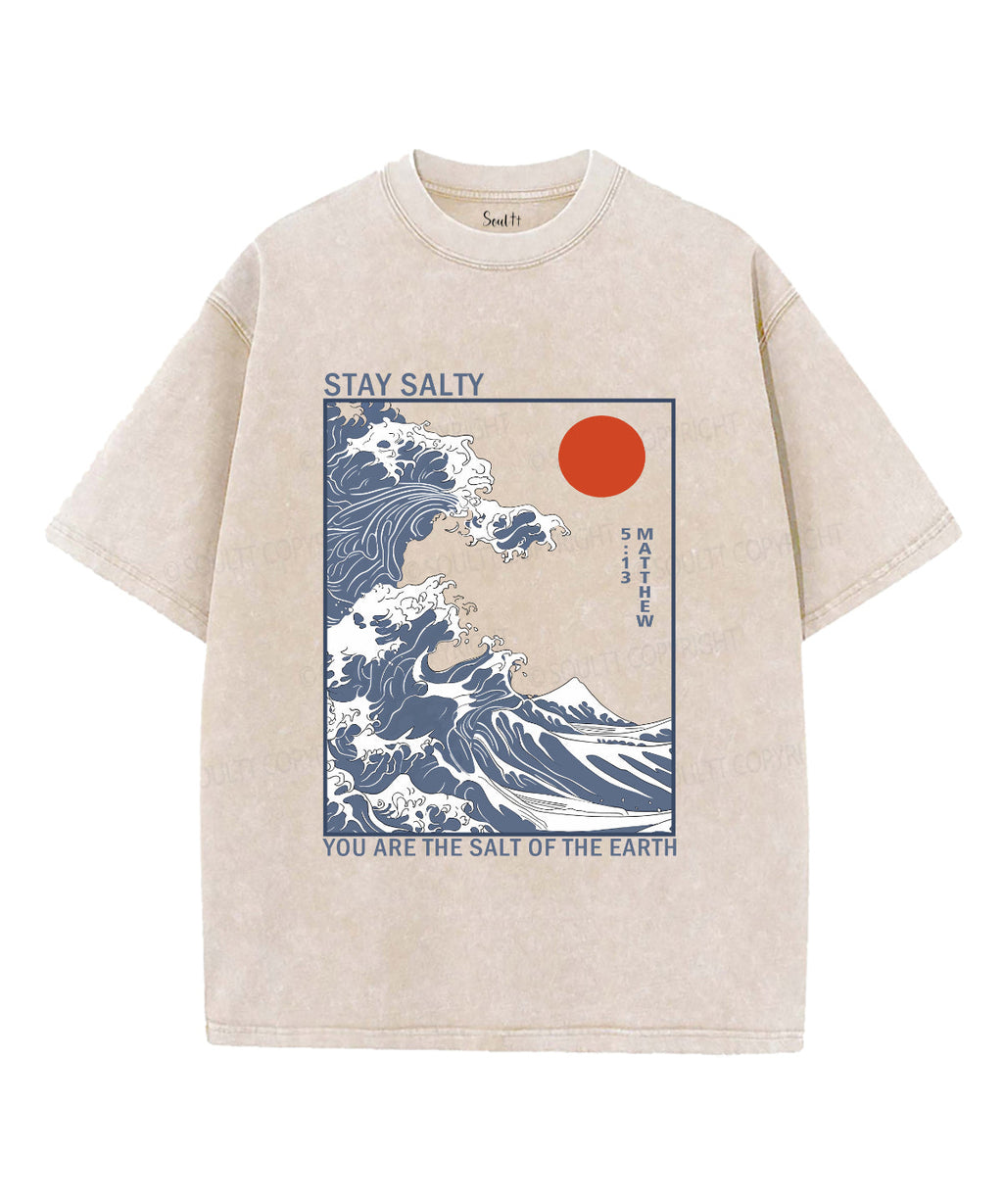Stay Salty Unisex Washed Christian T-shirt Style015 Hoodie, Sweatshirt | CiraTrend.com (Image 1)