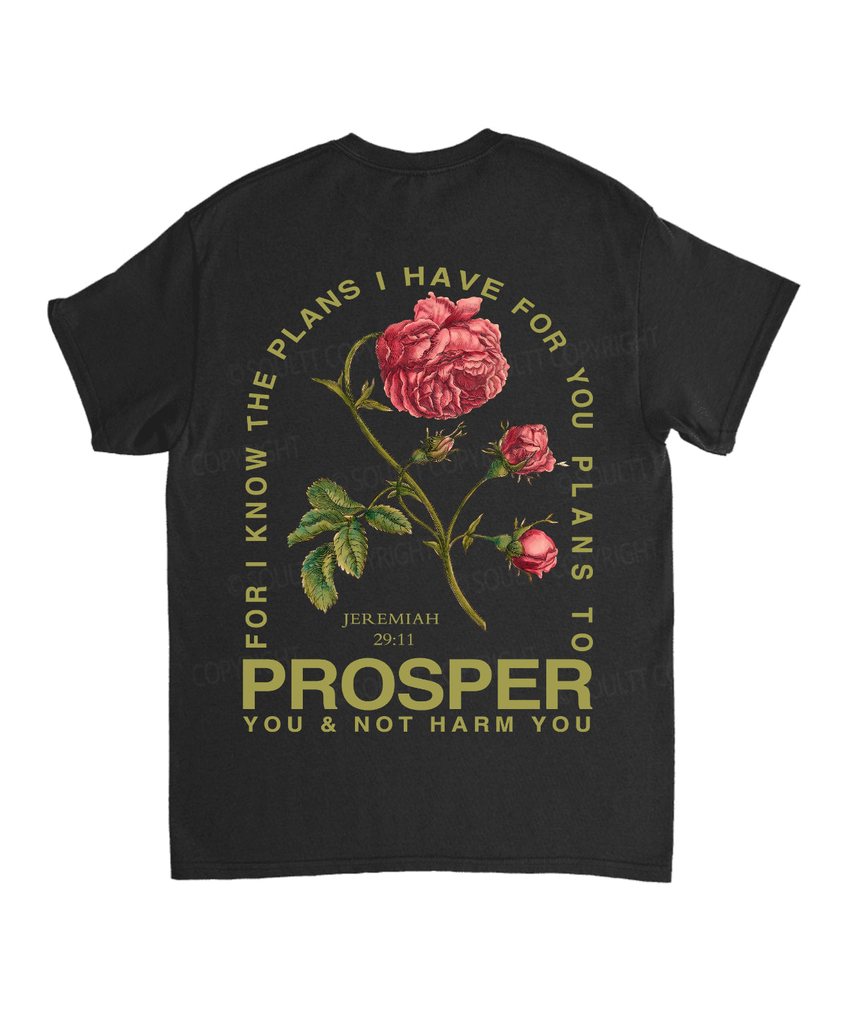 The Plans I Have For You Double Sided Unisex Cotton Christian T-Shirt Hoodie, Sweatshirt | CiraTrend.com (Image 5)