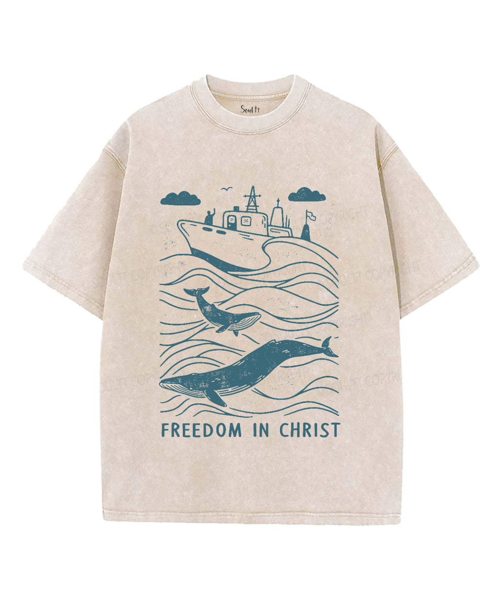Freedom In Christ Unisex Washed Christian T-shirt Hoodie, Sweatshirt | CiraTrend.com (Image 1)