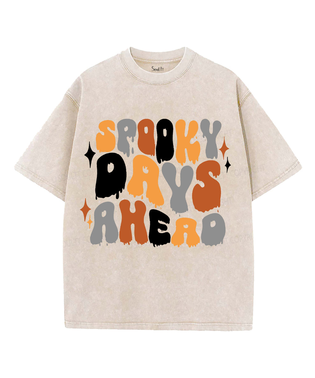 Spooky Days Ahead Unisex Washed Christian T-shirt Hoodie, Sweatshirt | CiraTrend.com (Image 2)