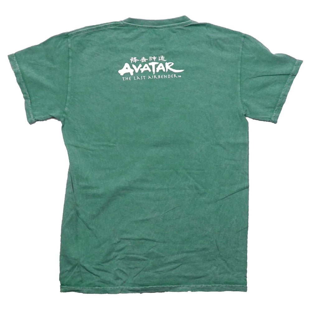 Avatar the Last Airbender Mens T-Shirt - Aang & Gang Sitting on Apa Hoodie, Sweatshirt | CiraTrend.com (Image 2)