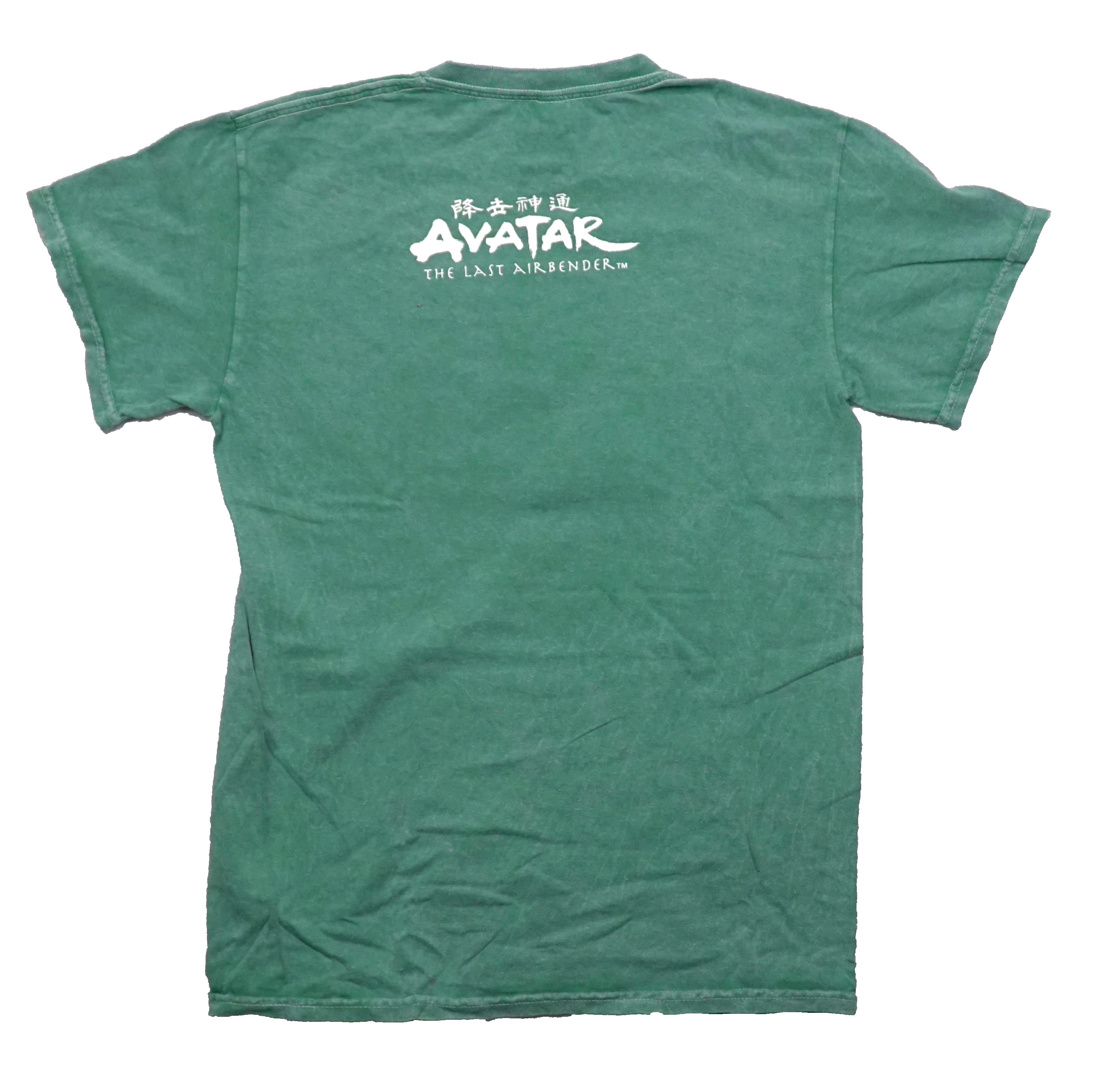 Avatar the Last Airbender Mens T-Shirt - Aang & Gang Sitting on Apa Hoodie, Sweatshirt | CiraTrend.com (Image 2)