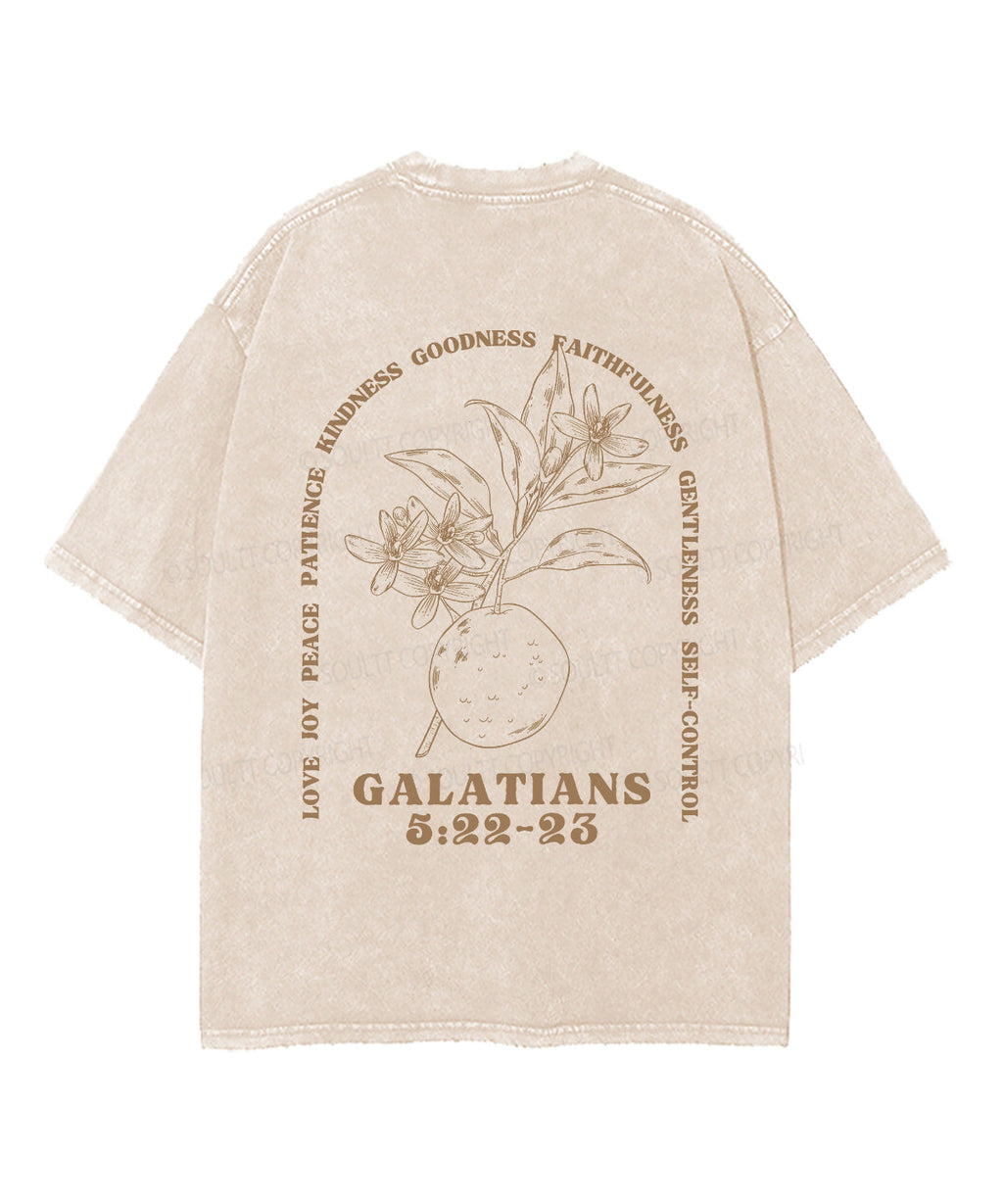 Fruit Of The Spirit Double Sided Unisex Washed Christian T-shirt Style017 Hoodie, Sweatshirt | CiraTrend.com (Image 3)