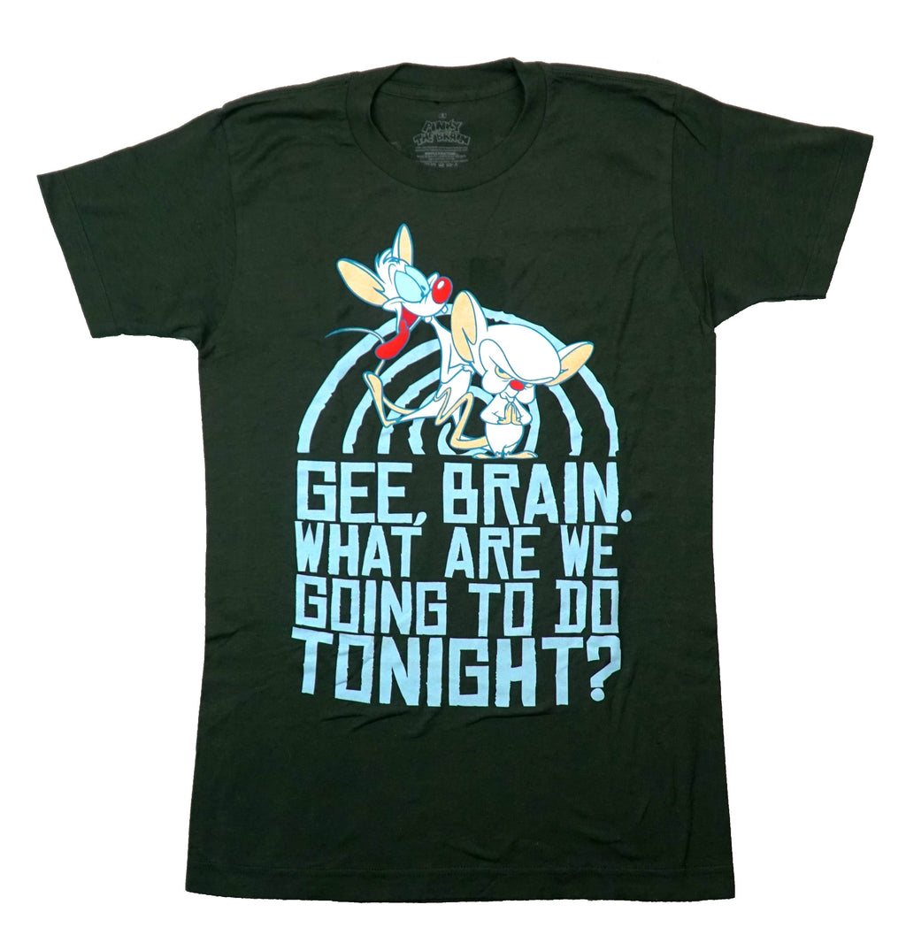 Pinky and the Brain Mens T-Shirt - Gee Brain... Take Over World Back Hoodie, Sweatshirt | CiraTrend.com (Image 1)