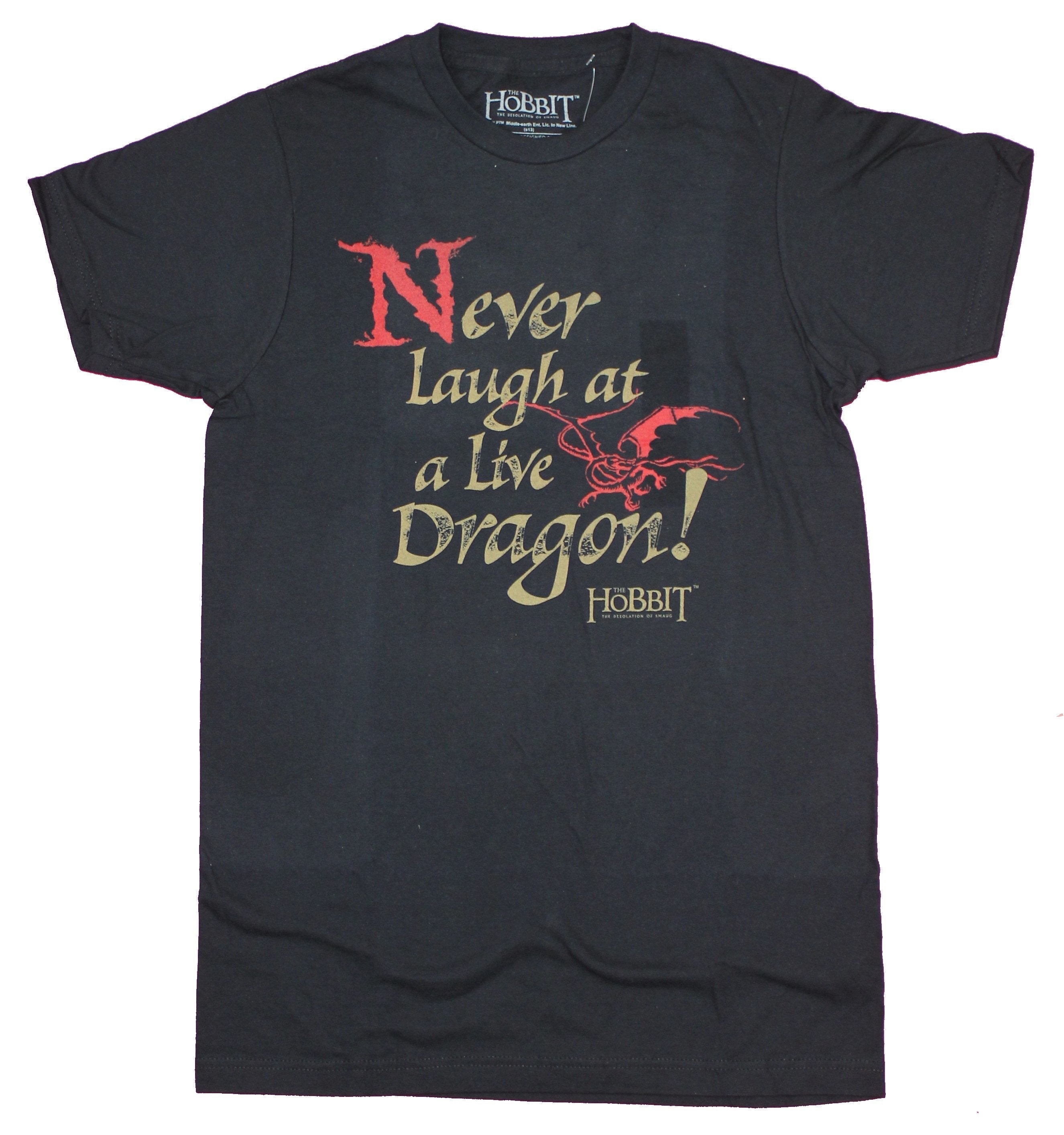 The Hobbit Mens T-Shirt  - Never Laugh at a Dragon Word Hoodie, Sweatshirt | CiraTrend.com
