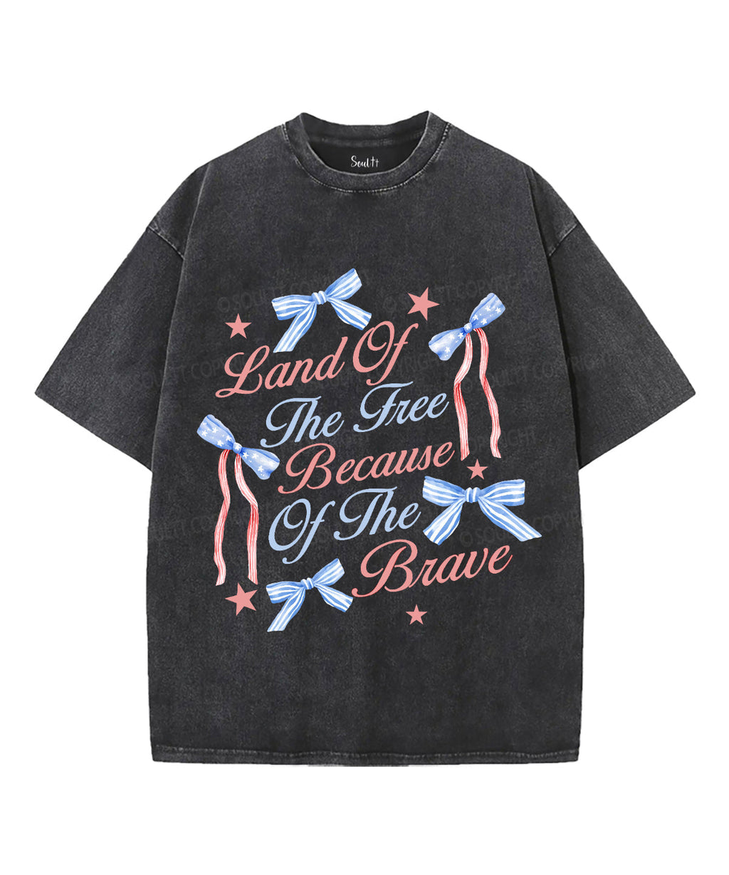 Land Of The Free Unisex Washed Christian T-shirt Hoodie, Sweatshirt | CiraTrend.com (Image 1)