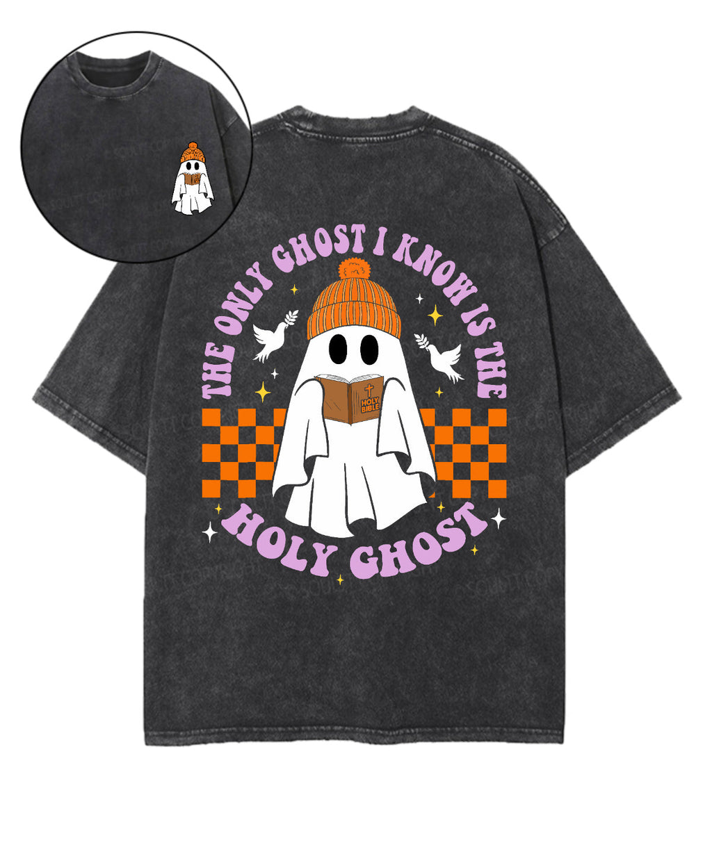 The Only Ghost I Know Is The Holy Ghost Double Sided Unisex Washed Christian T-shirt Style001 Hoodie, Sweatshirt (Image 1)
