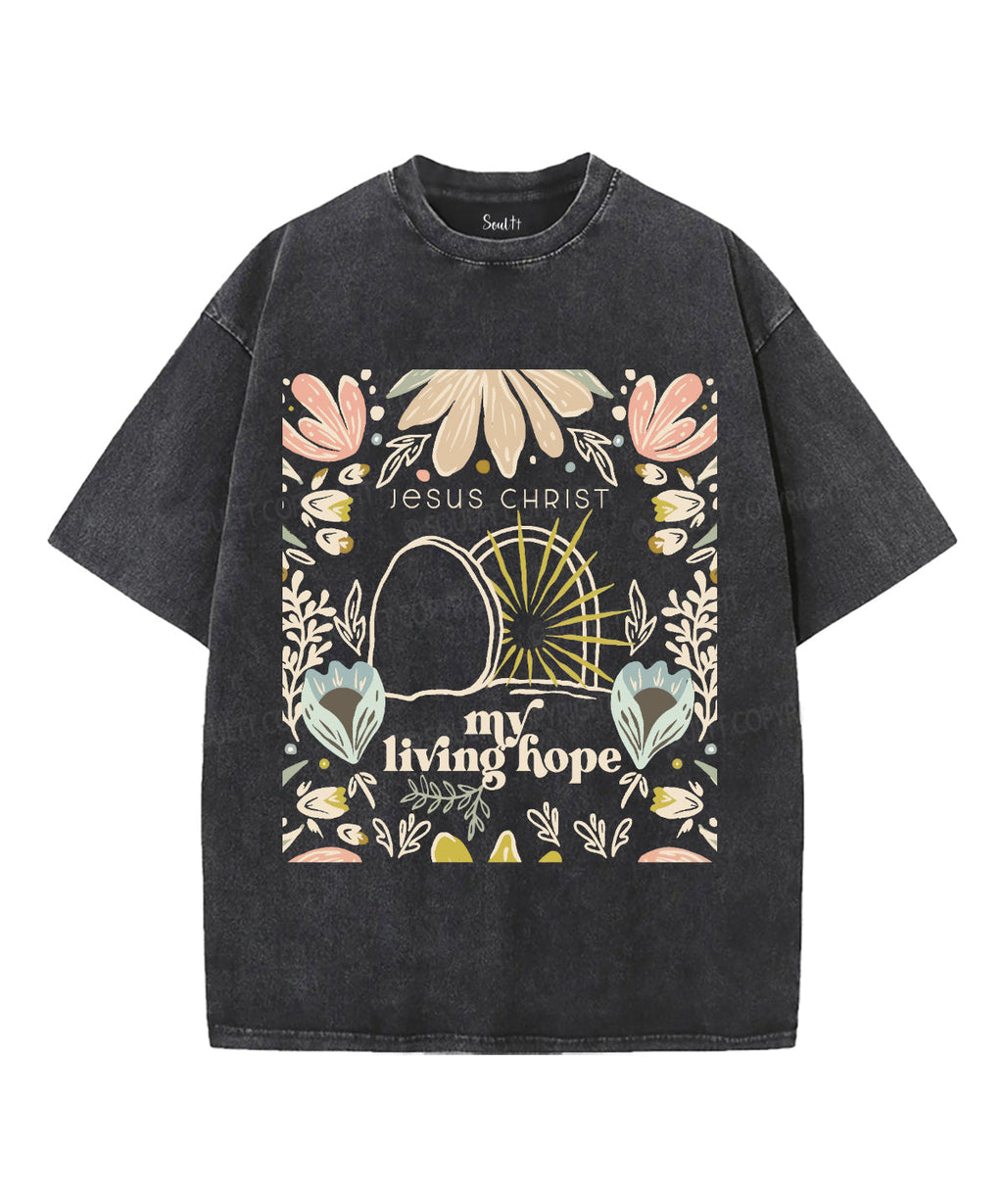 My Living Hope Unisex Washed Christian T-shirt Hoodie, Sweatshirt | CiraTrend.com (Image 1)