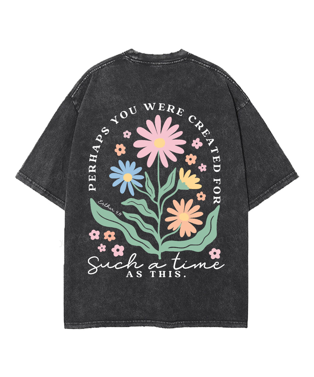 Created Such Time Double Sided Washed Christian T-Shirts, Hoodie, Sweatshirt