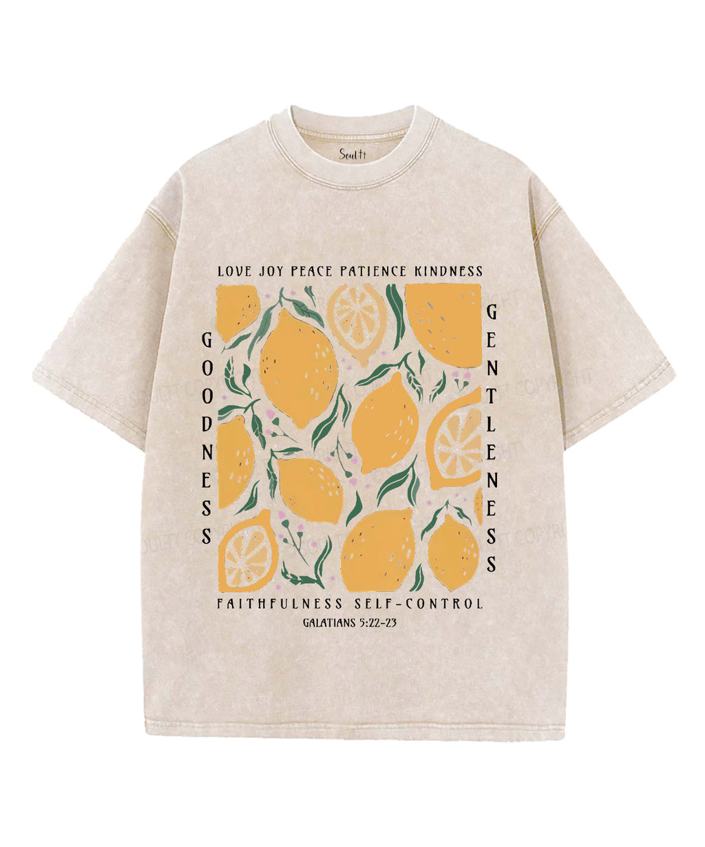 Love Joy Peace Patience Kindness Unisex Washed Christian T-shirt Hoodie, Sweatshirt | CiraTrend.com (Image 1)