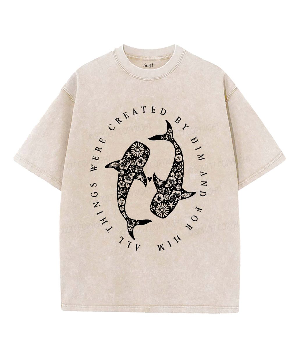 All Things Were Created By Him Unisex Washed Christian T-shirt Hoodie, Sweatshirt | CiraTrend.com (Image 1)