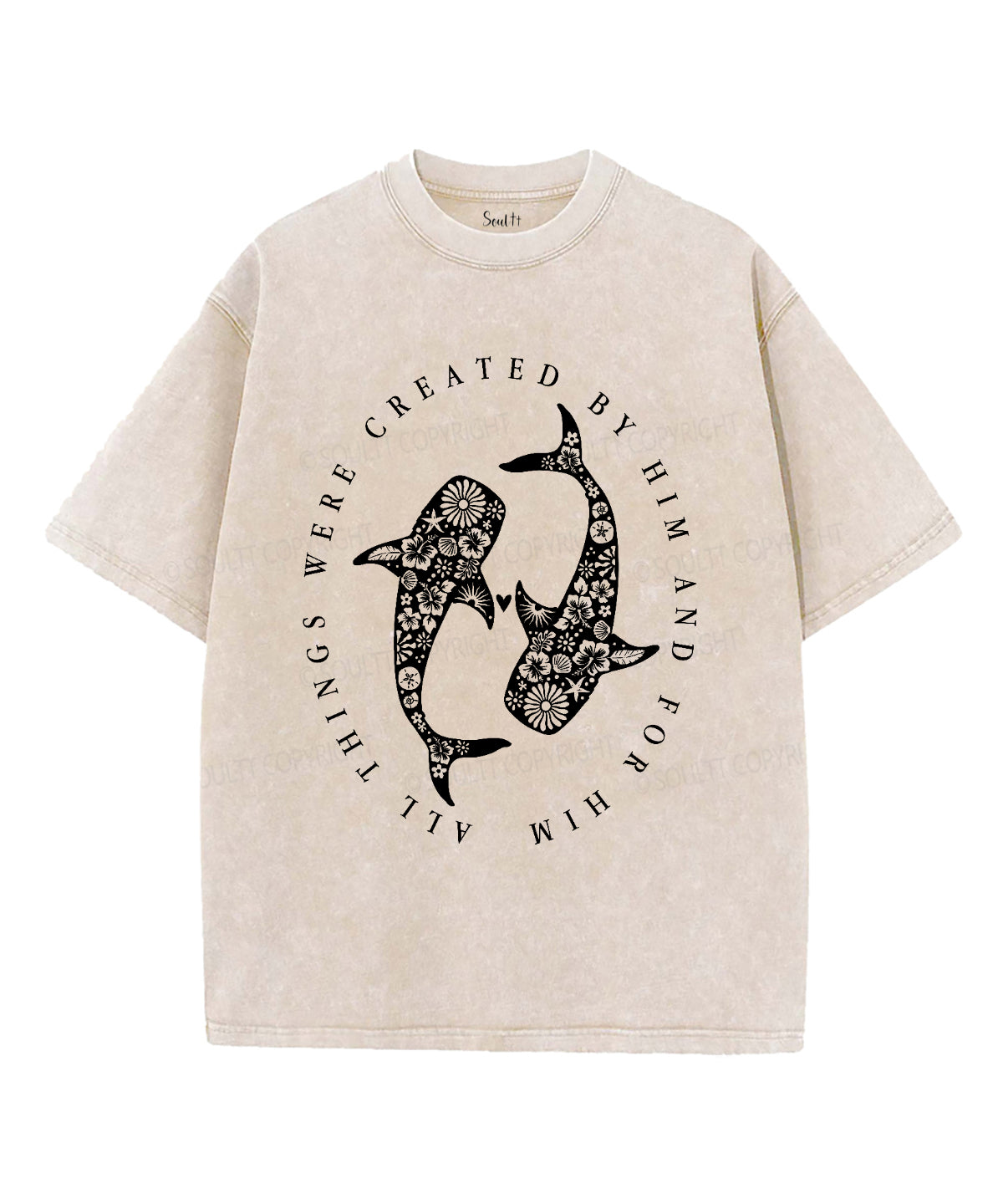 All Things Were Created By Him Unisex Washed Christian T-shirt Hoodie, Sweatshirt | CiraTrend.com (Image 1)