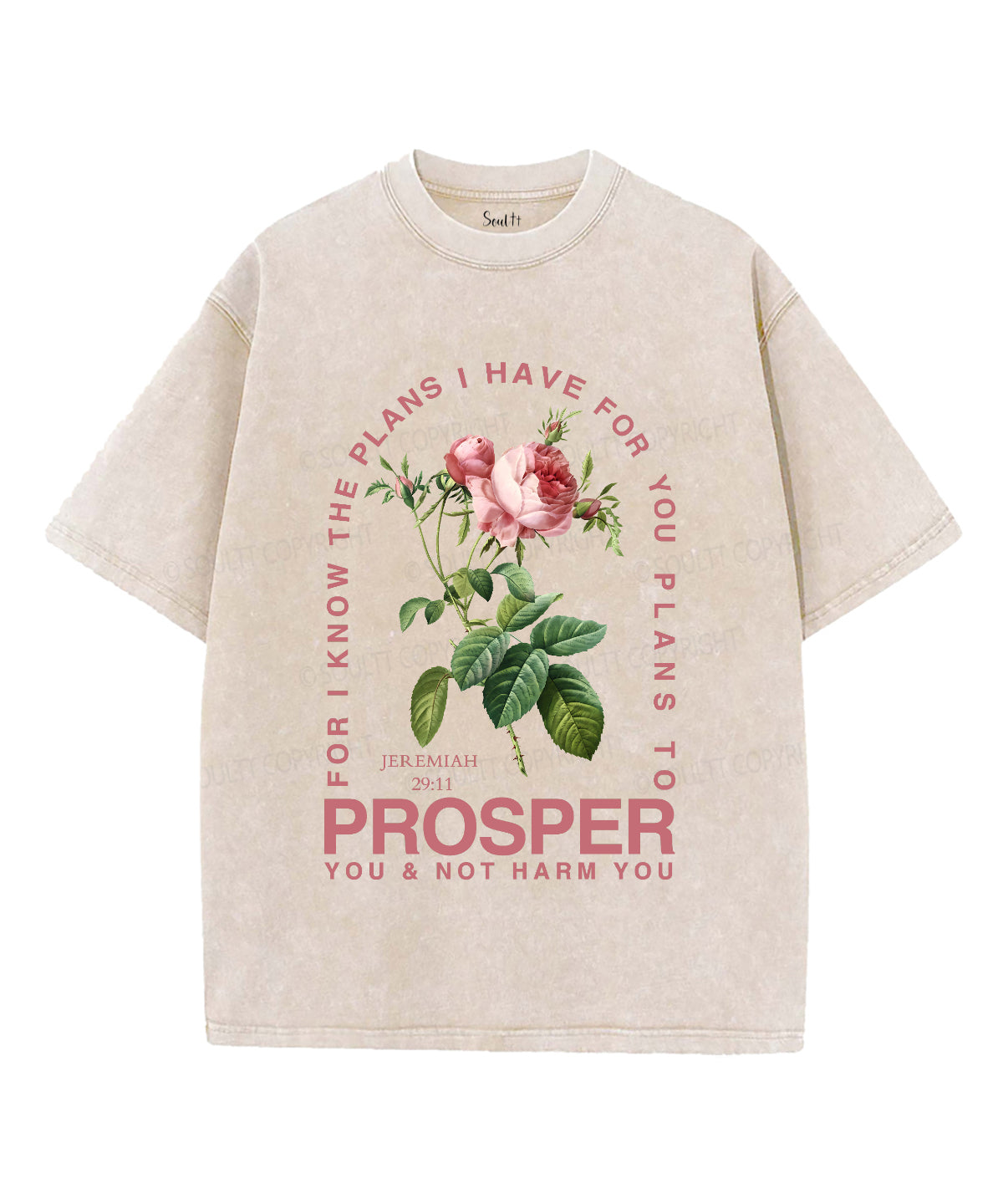 The Plans I Have For You Unisex Washed Christian T-shirt Style001 Hoodie, Sweatshirt | CiraTrend.com (Image 4)