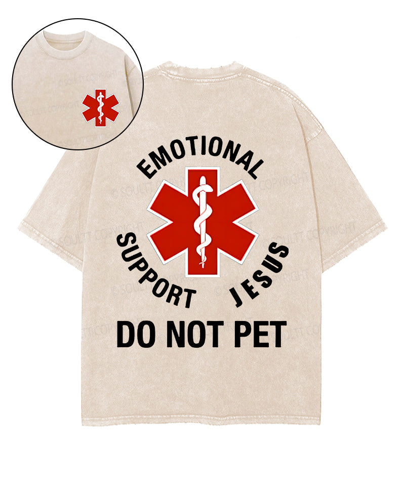 Do Not Pet Double Sided Washed Christian T-Shirts, Hoodie, Sweatshirt