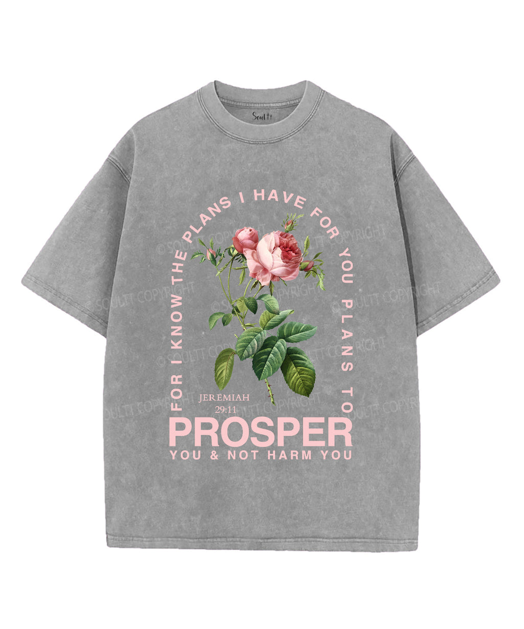 The Plans I Have For You Unisex Washed Christian T-shirt Style001 Hoodie, Sweatshirt | CiraTrend.com (Image 2)