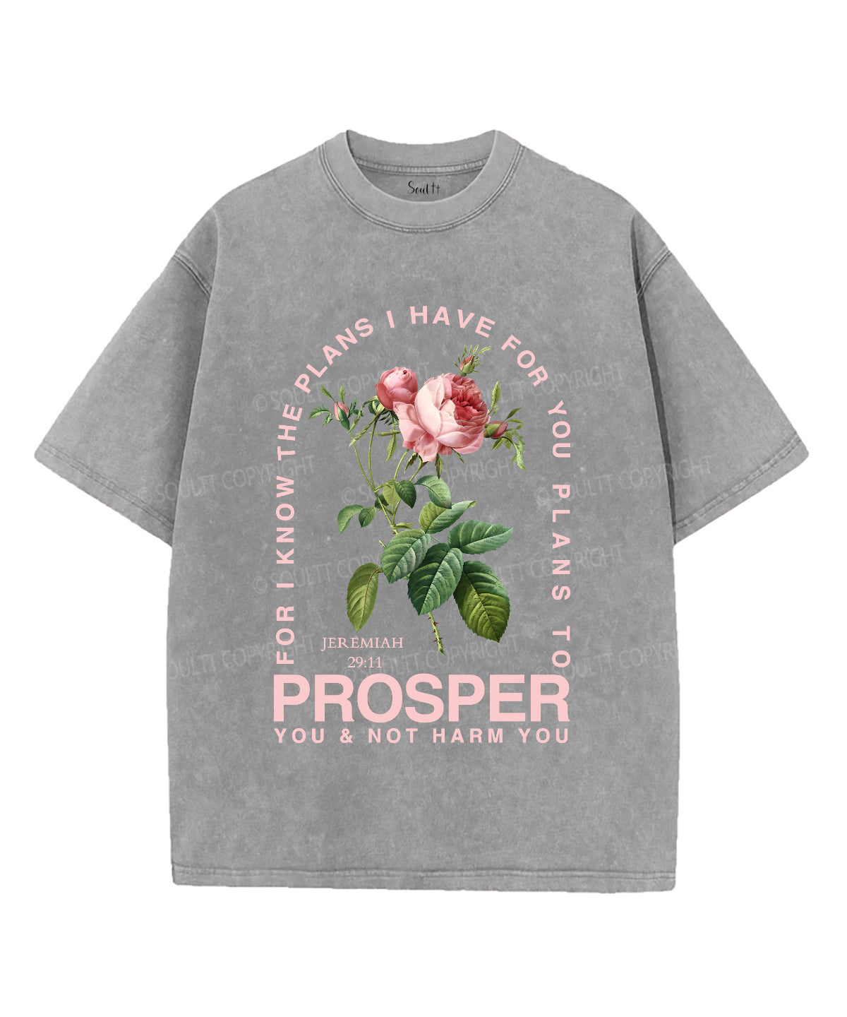 The Plans I Have For You Unisex Washed Christian T-shirt Style001 Hoodie, Sweatshirt | CiraTrend.com (Image 2)