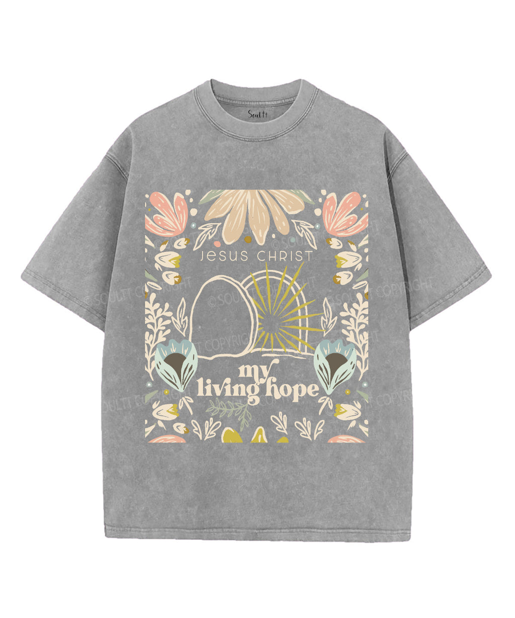 My Living Hope Unisex Washed Christian T-shirt Hoodie, Sweatshirt | CiraTrend.com (Image 2)