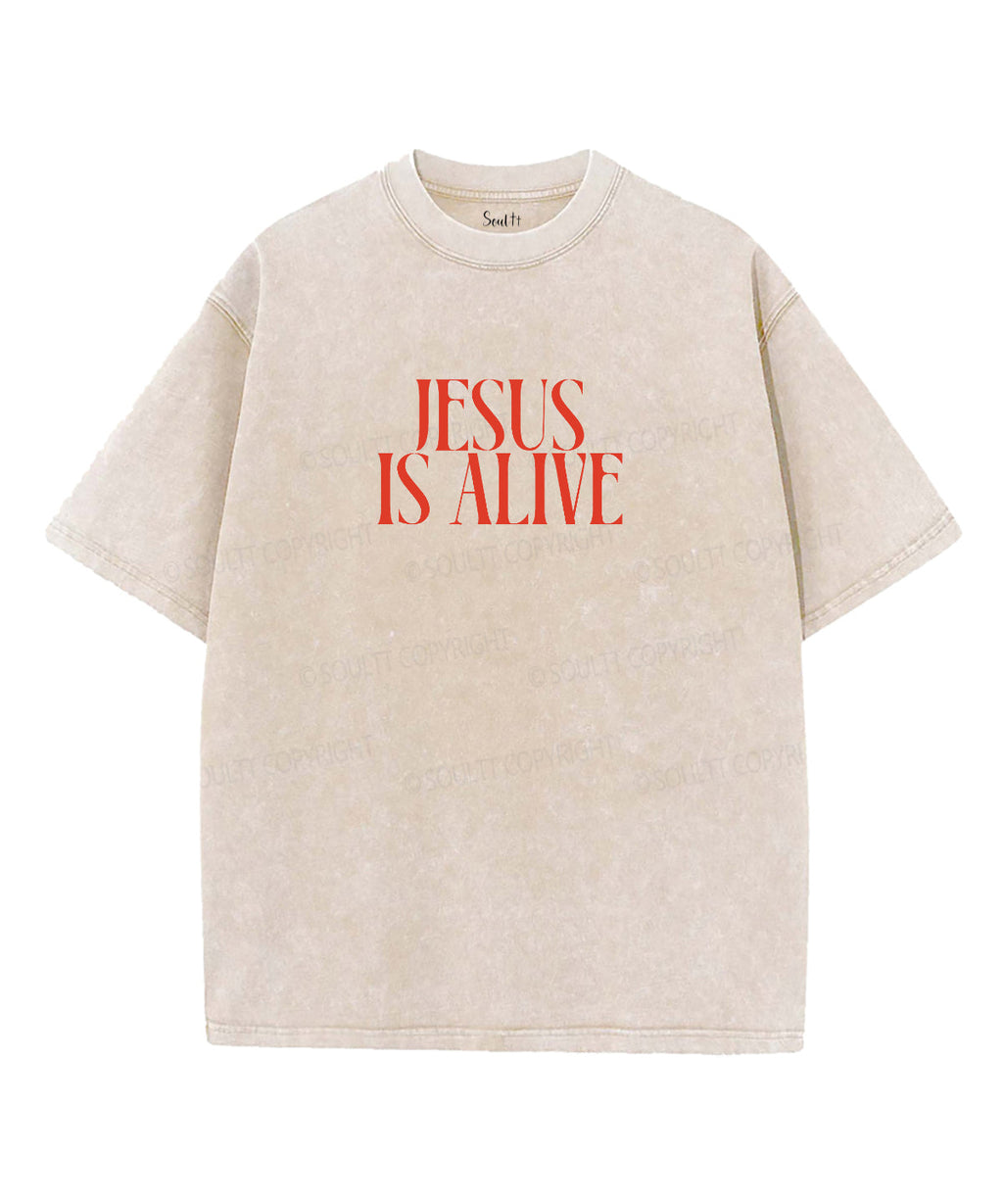 Jesus Is Alive Double Sided Unisex Washed Christian T-shirt Hoodie, Sweatshirt | CiraTrend.com (Image 2)