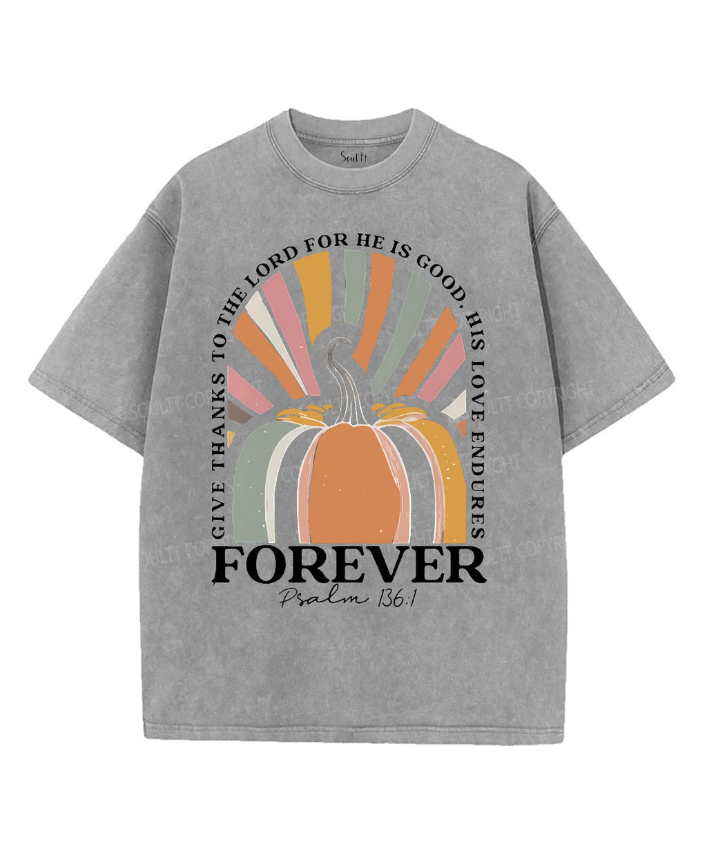 His Love Endures Unisex Washed Christian T-shirt Hoodie, Sweatshirt | CiraTrend.com (Image 2)