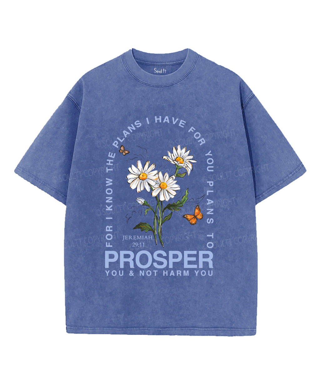 The Plans I Have For You Unisex Washed Christian T-shirt Style003 Hoodie, Sweatshirt | CiraTrend.com (Image 3)