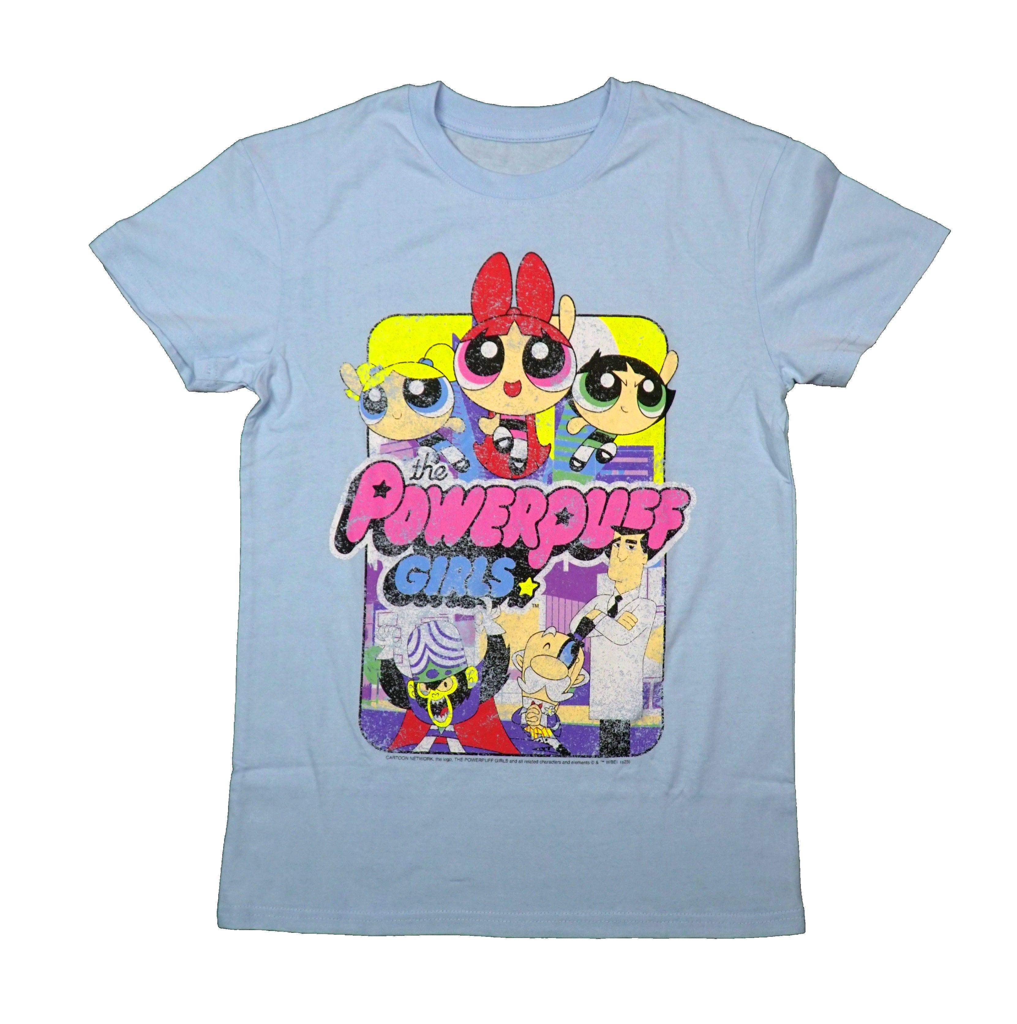 The Powerpuff Girls Mens T-Shirt - Distressed Cast Around Name Hoodie, Sweatshirt | CiraTrend.com