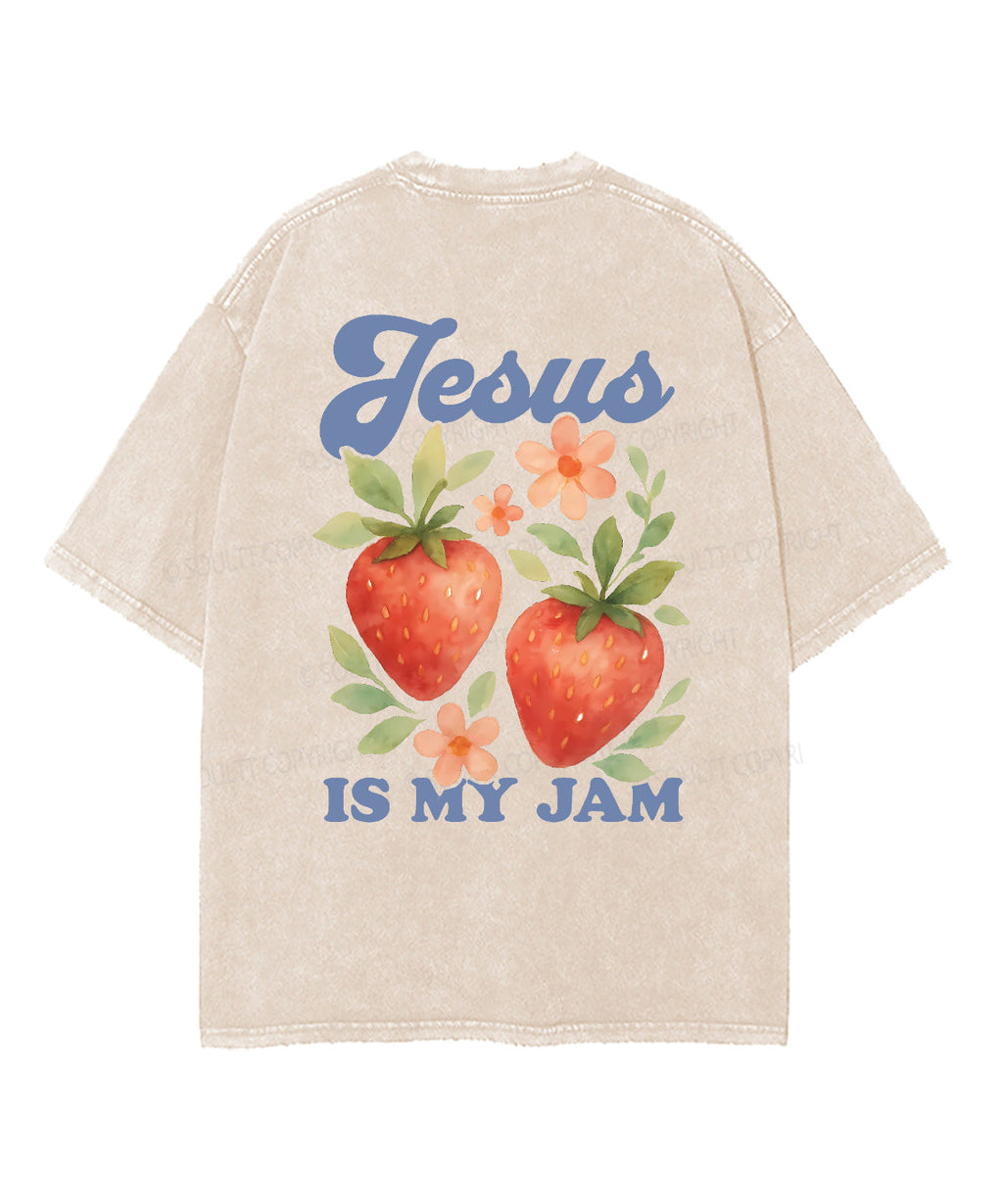 Fruit Of The Spirit Double Sided Unisex Washed Christian T-shirt Style024 Hoodie, Sweatshirt | CiraTrend.com (Image 5)