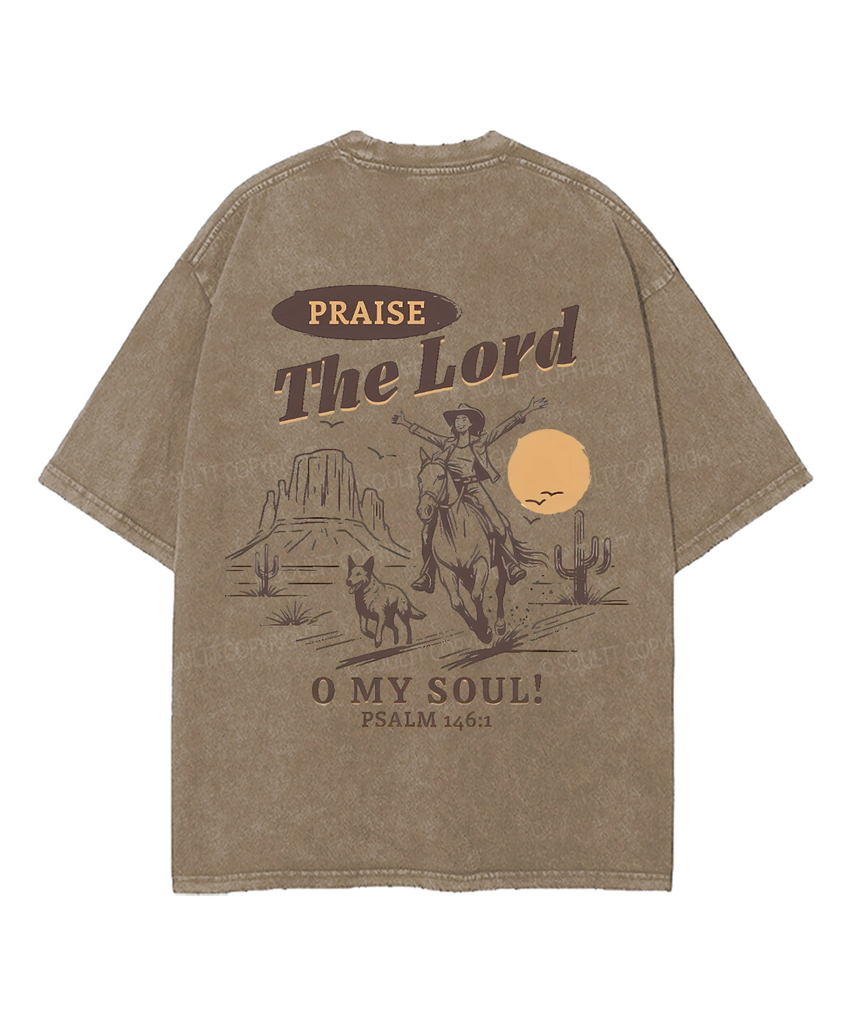 The Lord Praise Double Sided Unisex Washed Christian T-shirt Hoodie, Sweatshirt | CiraTrend.com (Image 2)