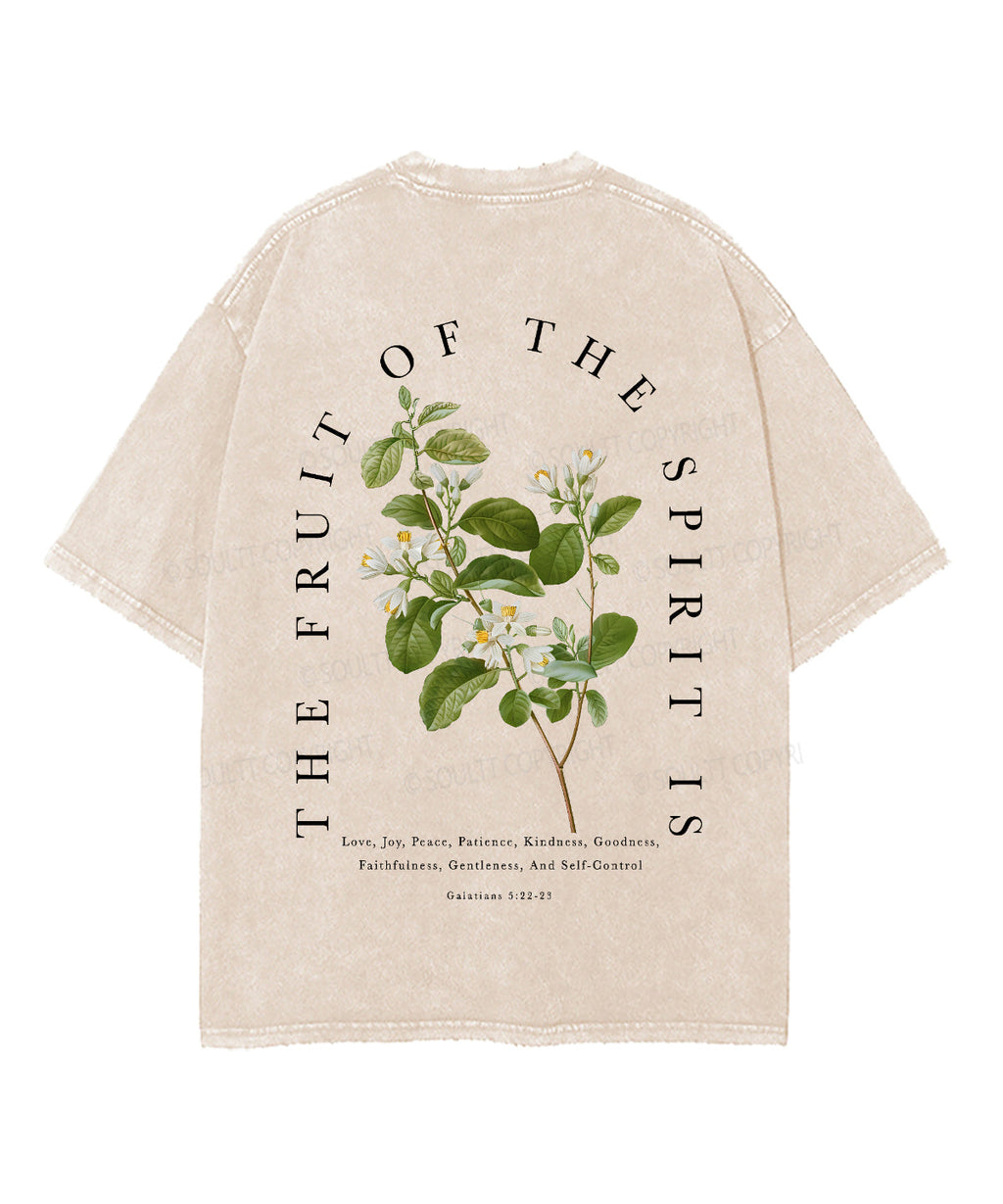 Fruit Of The Spirit Double Sided Unisex Washed Christian T-shirt Style005 Hoodie, Sweatshirt | CiraTrend.com (Image 3)