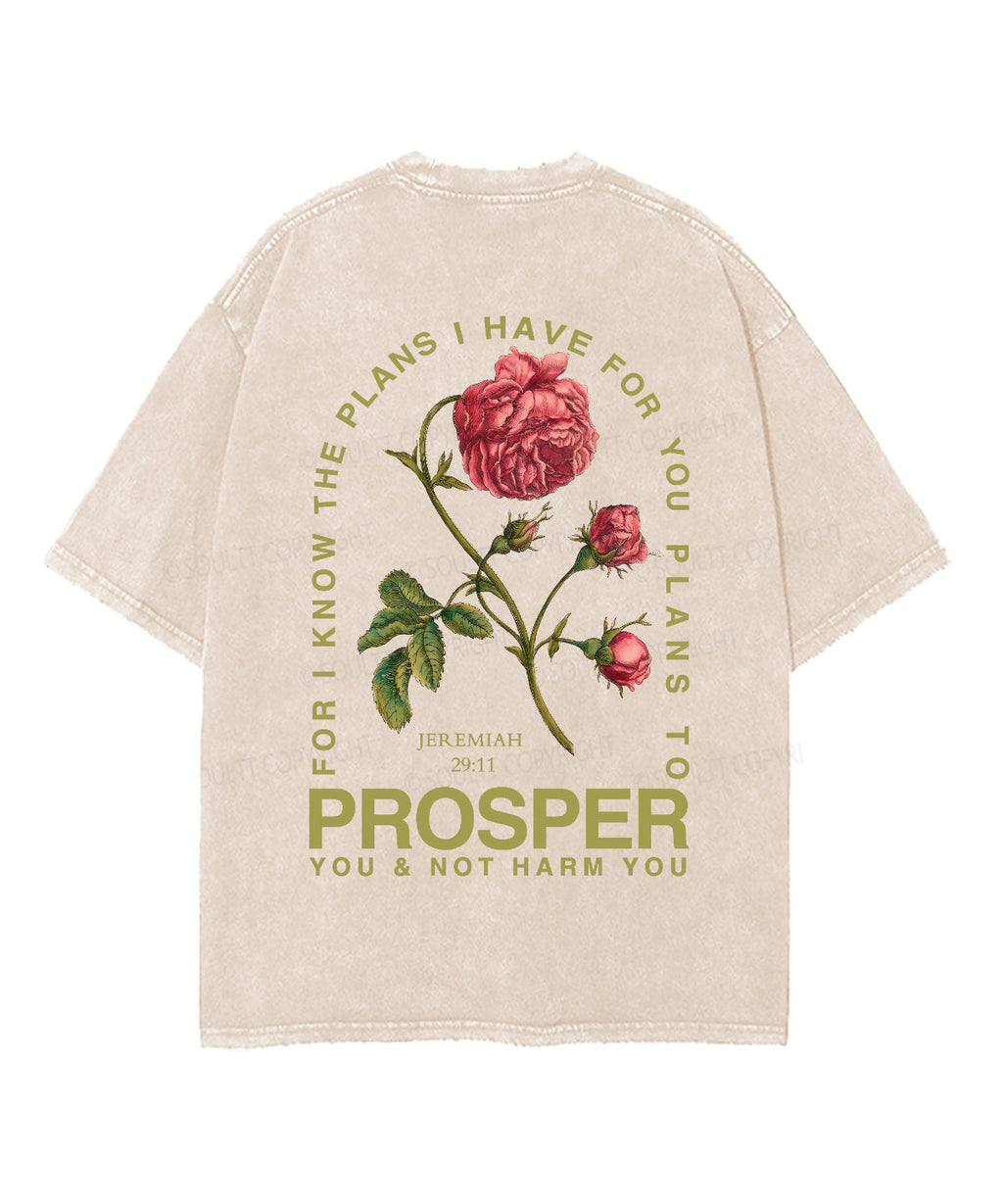 The Plans I Have For You Double Sided Unisex Washed Christian T-shirt Hoodie, Sweatshirt | CiraTrend.com (Image 3)