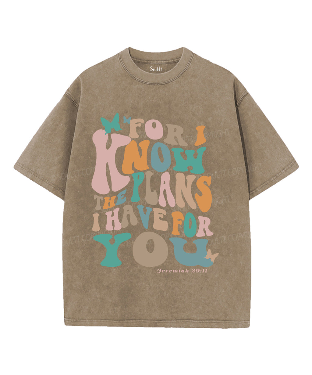 The Plan I Have For You Unisex Washed Christian T-shirt Hoodie, Sweatshirt | CiraTrend.com (Image 5)