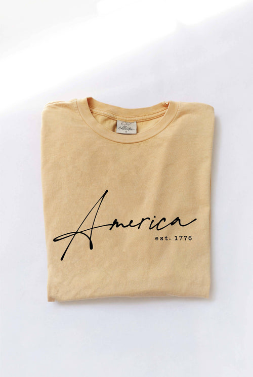 America Est.1776 Mineral Washed Graphic Top