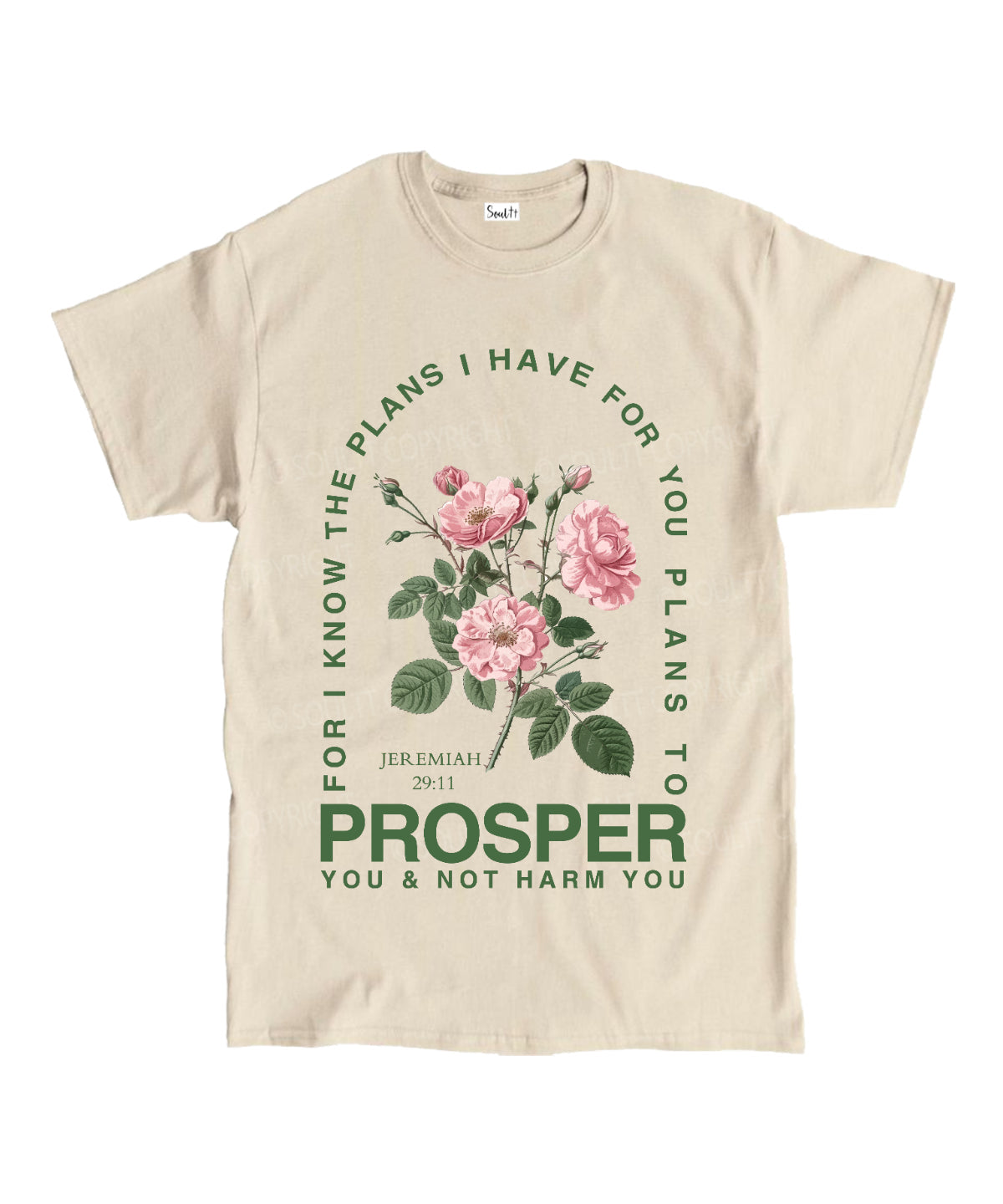 The Plans I Have For You Unisex Cotton Christian T-Shirt Hoodie, Sweatshirt | CiraTrend.com (Image 4)