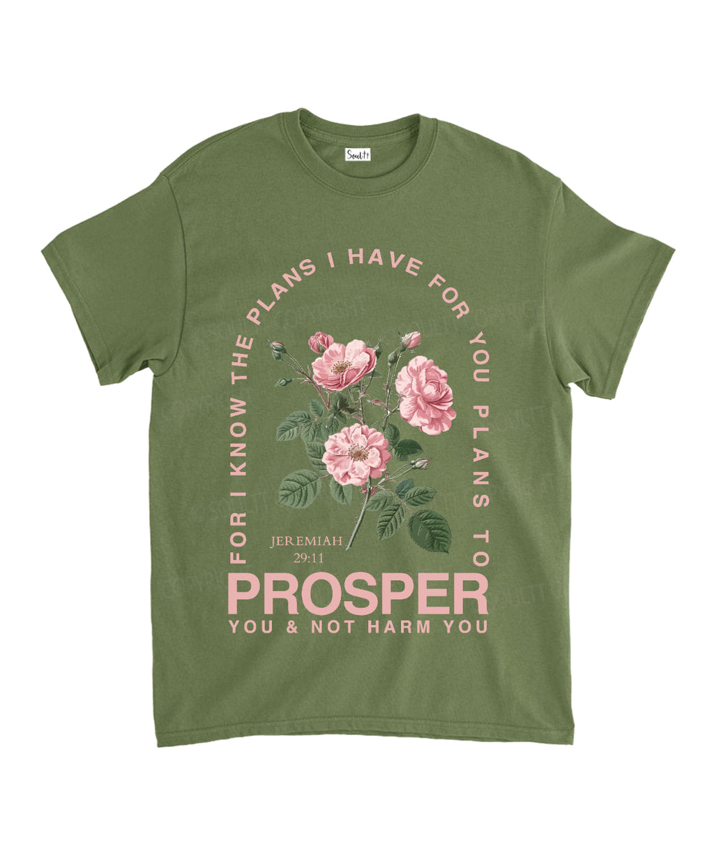 The Plans I Have For You Unisex Cotton Christian T-Shirt Hoodie, Sweatshirt | CiraTrend.com (Image 5)