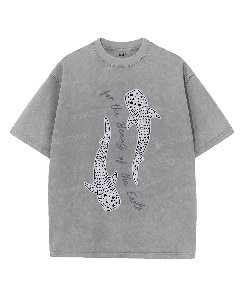 For The Beauty Of The Earth Unisex Washed Christian T-shirt Hoodie, Sweatshirt | CiraTrend.com (Image 2)