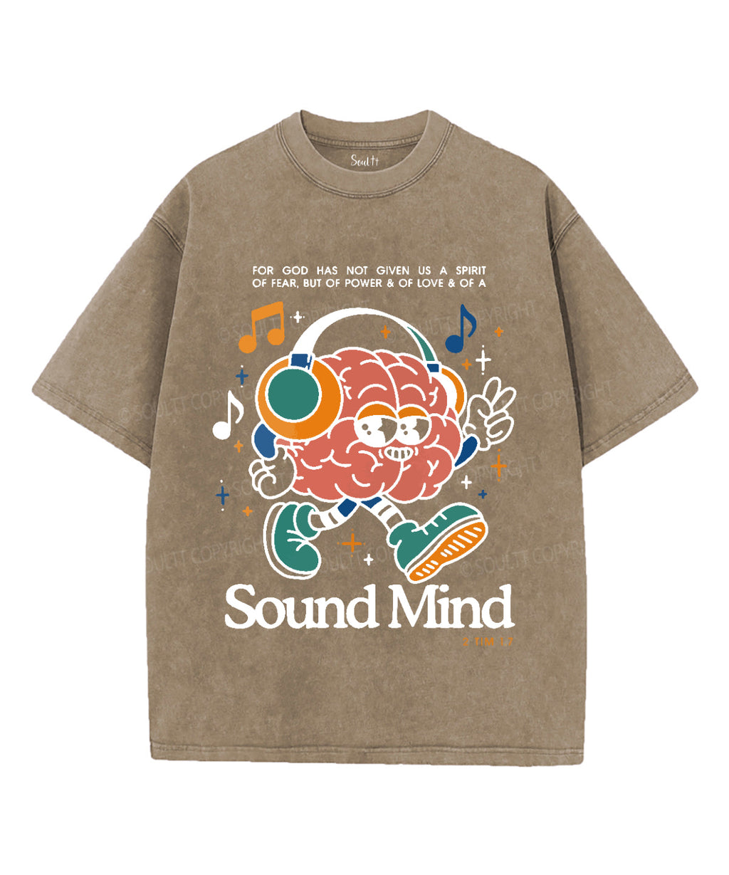 Sound Mind Unisex Washed Christian T-shirt Hoodie, Sweatshirt | CiraTrend.com (Image 5)